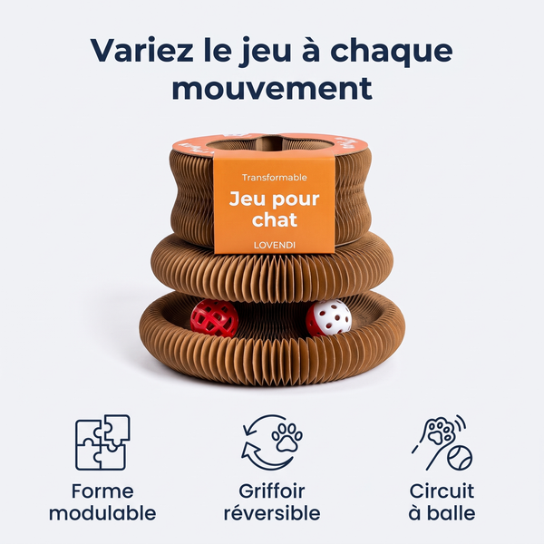 Jouet Transformable En Carton Pour Chat — Lovendi 1