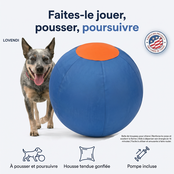 Lovendi Balle de troupeau pour chien — Lovendi 1