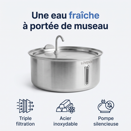 Lovendi The Doggy Fountain™ — Lovendi 1