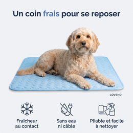 Lovendi ChillPaws™ Tapis rafraîchissant pour animaux — Lovendi 1