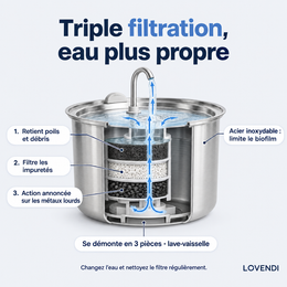 Coupe de la triple filtration de la fontaine