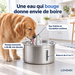 Chien buvant à la fontaine en acier inoxydable