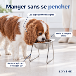 Chien mangeant dans la gamelle surélevée inclinée