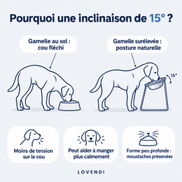 Comparaison gamelle au sol et gamelle surélevée à 15°
