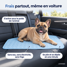 Chien allongé sur le tapis rafraîchissant en voiture