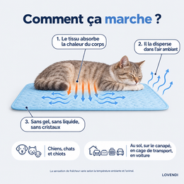 Comment le tissu absorbe et disperse la chaleur