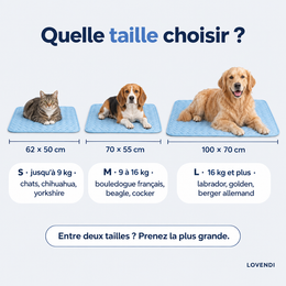 Tailles S, M et L en centimètres selon le poids