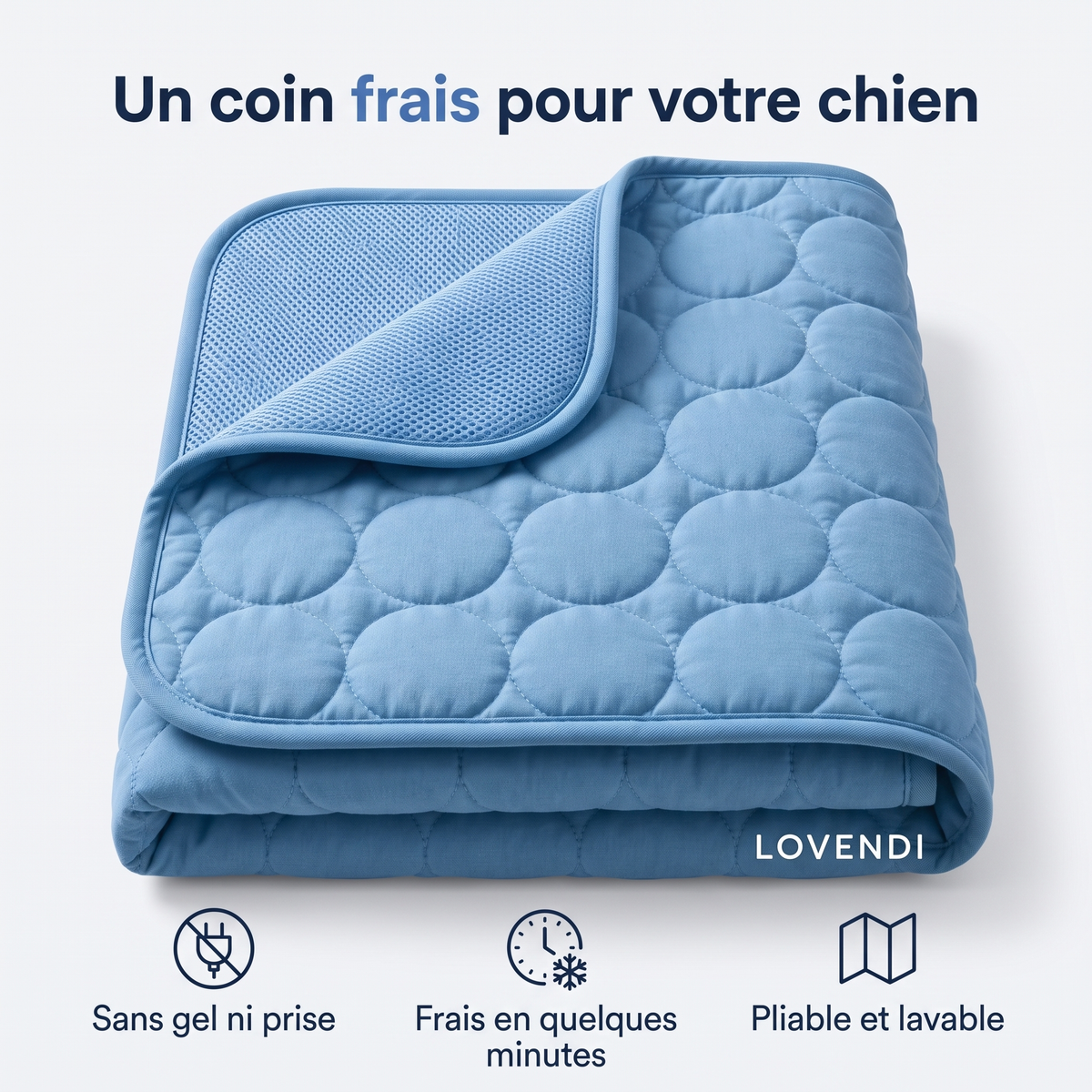Lovendi Arctic™ Tapis rafraîchissant pour chien, lot de 2, XS bleu — Lovendi 1