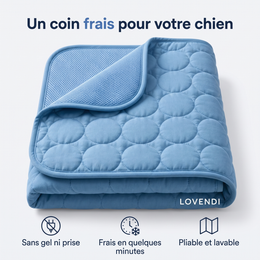 Lovendi Arctic™ Tapis rafraîchissant pour chien, lot de 2, XS bleu — Lovendi 1
