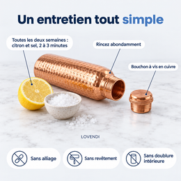Entretien au citron et au sel