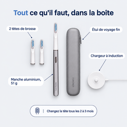 Contenu : brosse, 2 têtes, étui, chargeur