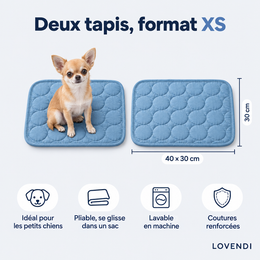 Deux tapis XS 40 × 30 cm