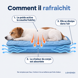 Comment le tapis rafraîchit