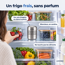 Purificateur posé dans le réfrigérateur