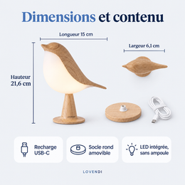 Dimensions et contenu de la lampe