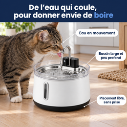 Fontaine sans fil pour chat, 4 L – mise en situation