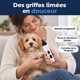 Lime électrique pour griffes – mise en situation