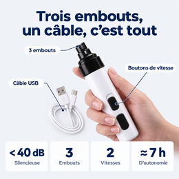 Lime électrique pour griffes – détails et caractéristiques