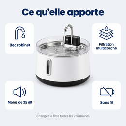 Fontaine sans fil pour chat, 4 L – ce qu’il faut savoir