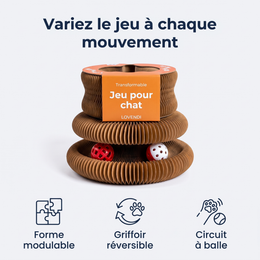 Jouet Transformable En Carton Pour Chat — Lovendi 1