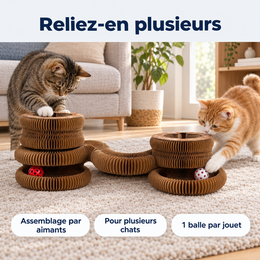 Plusieurs jouets reliés pour deux chats