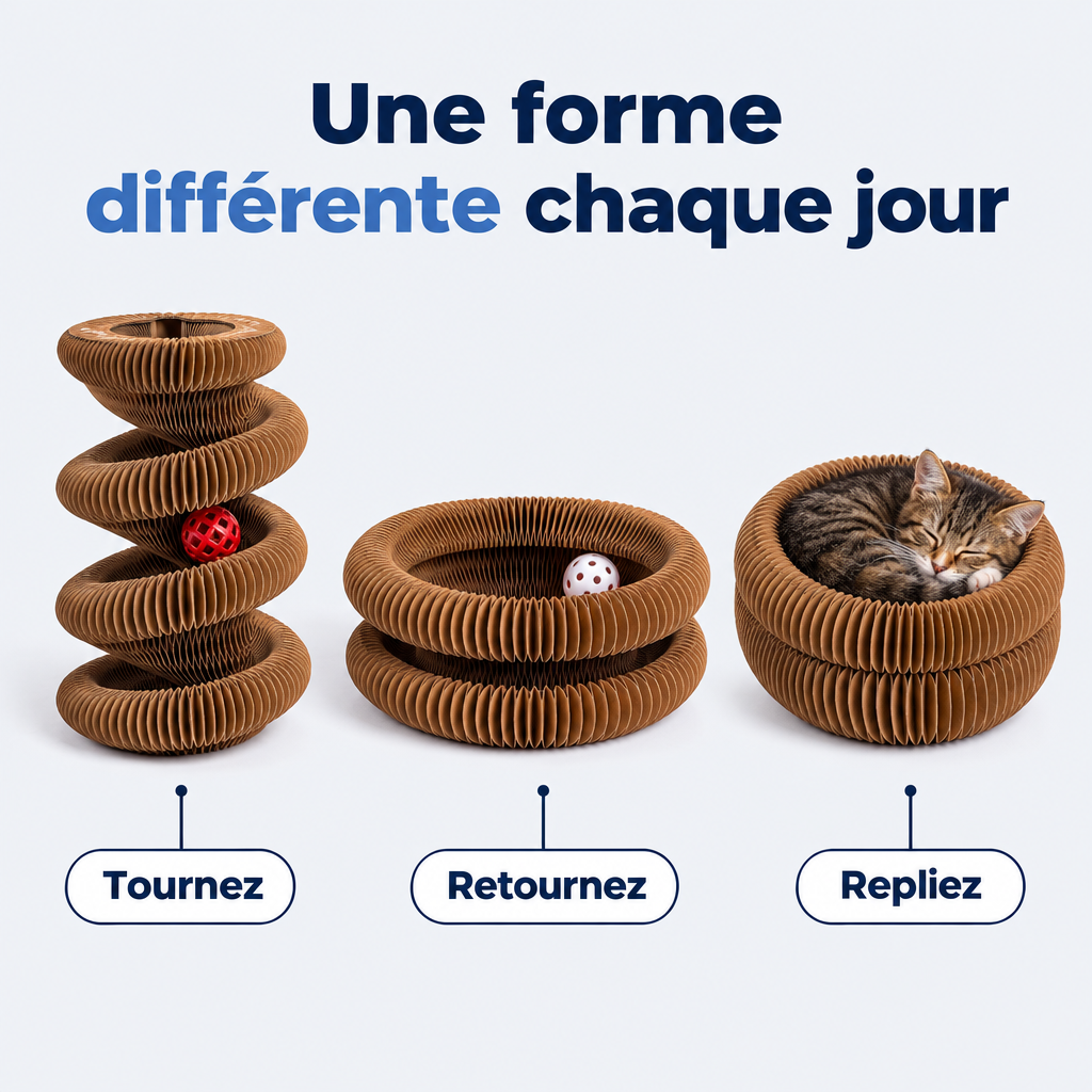 Trois formes du jouet transformable : tour, anneau, nid
