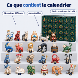 Calendrier De L’Avent, 24 Chats Médiévaux Moches