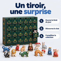 Calendrier De L’Avent, 24 Chats Médiévaux Moches